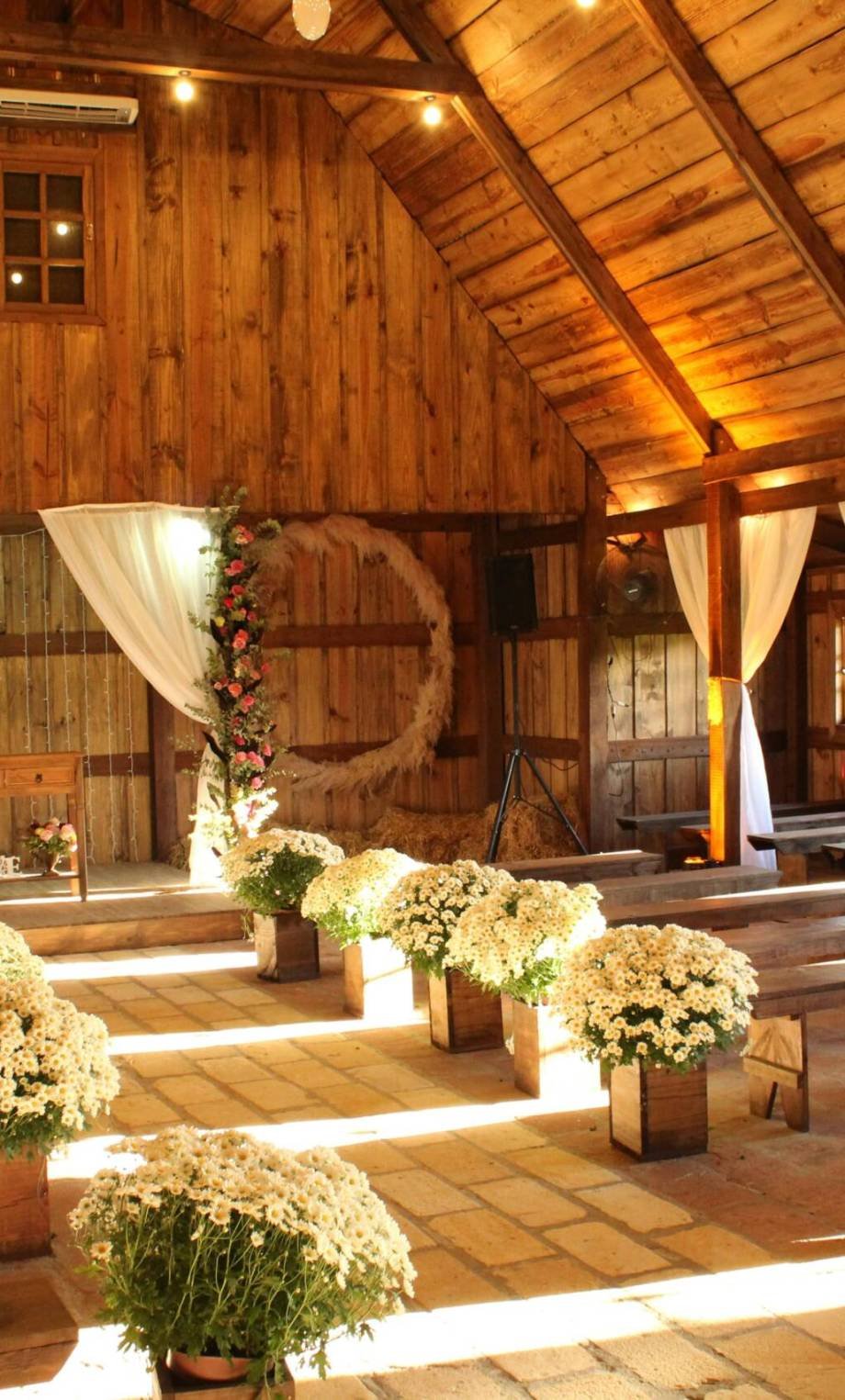 pexels-joellpaim-2291462